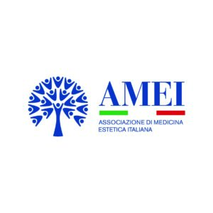 LOGO-AMEI-300x300